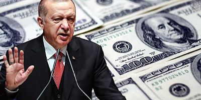 Cumhurbaşkanı Erdoğan dolar kurundaki artışı öngörmemiş olabilir mi?