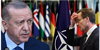 Cumhurbaşkanı Erdoğan'ın sözleri İsveç'te panik çıkardı