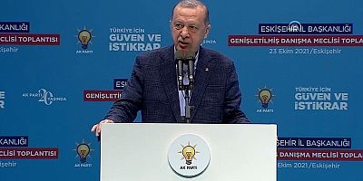 Cumhurbaşkanı Erdoğan: Kimse görevini yapanların kılına dokunamaz
