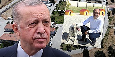 Cumhurbaşkanı Erdoğan Konya’yı örnek gösterdi