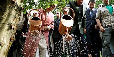 Cumhurbaşkanı Erdoğan paylaştı! 81 ilde Cumhuriyet ormanları kurulacak