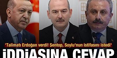  Cumhurbaşkanı Erdoğan  Soylu'nun istifasını mı istedi' iddiasına cevap