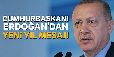 Cumhurbaşkanı Erdoğandan Yeni Yıl Mesajı