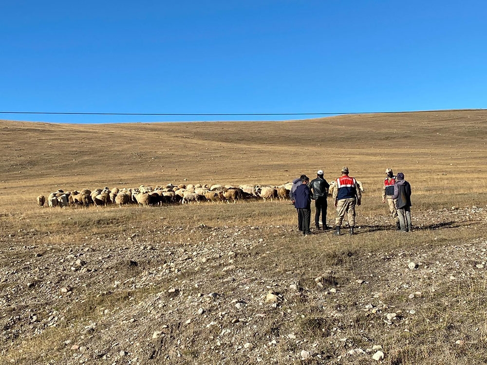 Damal’da kayıp hayvanlar drone ile bulundu