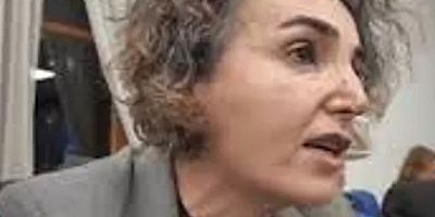 DEM'li vekilden Türkiye’ye skandal iftira: 'Yayılmacı' suçlaması ve ABD'ye Yalvardı