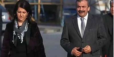 DEM Parti'den İmralı görüşmesi sonrası 7 maddelik açıklama