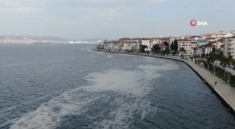 Deniz salyası İzmit Körfezi’ni beyaza bürüdü