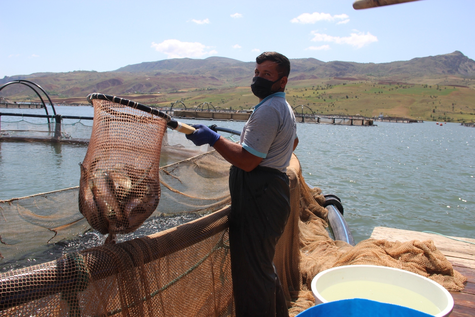 Denize kıyısı olmayan Sivas’tan dünyaya somon ihracatı