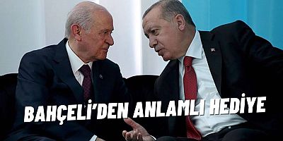 Devlet Bahçeli'den Başkan Erdoğan'a anlamlı hediye