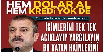 Devletten ucuz yatırım parası alıp, parayı doları yatırmışlar!.. 