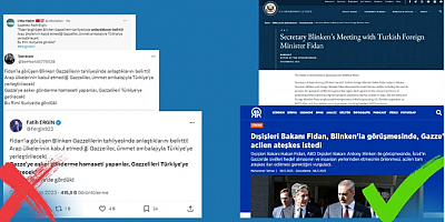 Dezenformasyonla Mücadele Merkezi, 