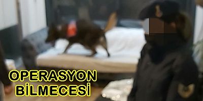 DİDİM'de OPERASYON BİLMECESİ