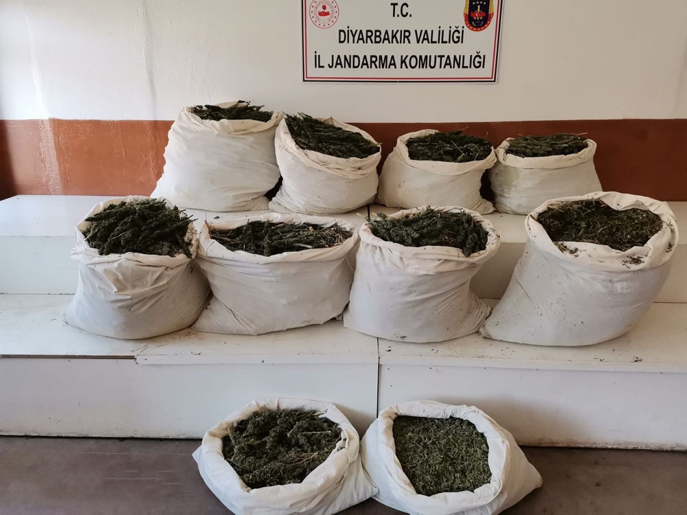 Diyarbakır’da 325 kilo esrar, 373 bin kök kenevir ele geçirildi