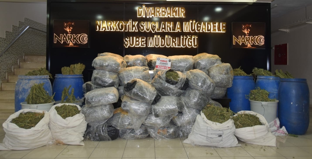 Diyarbakırda 559 Kilo Esrar Ele Geçirildi