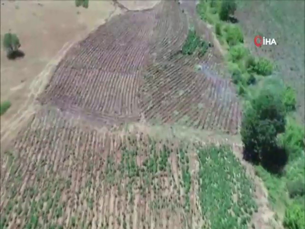 Diyarbakır’da son yılların en büyük uyuşturucu operasyonu