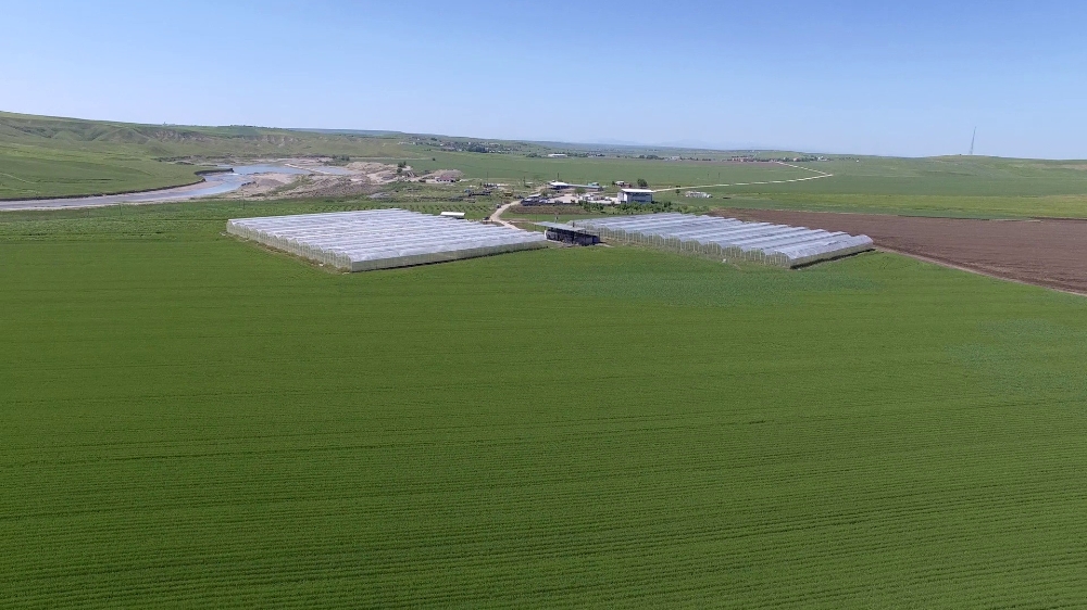 Diyarbakır’da tarım alanında kurulan 620 tesise 308 milyon liralık hibe desteği