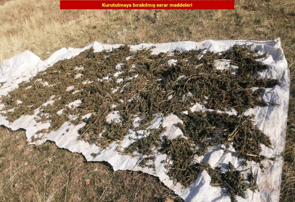 Diyarbakırda Terör Örgütü Pkkya Büyük Darbe
