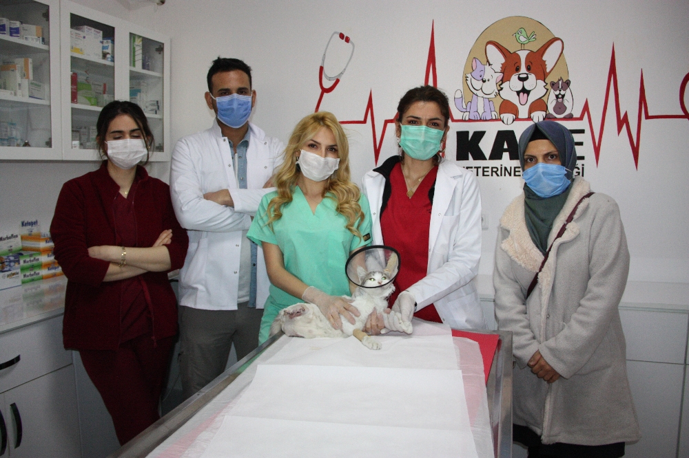 Diyarbakır’da vahşet: Kedinin ayaklarını kesip büyü yapıyorlar