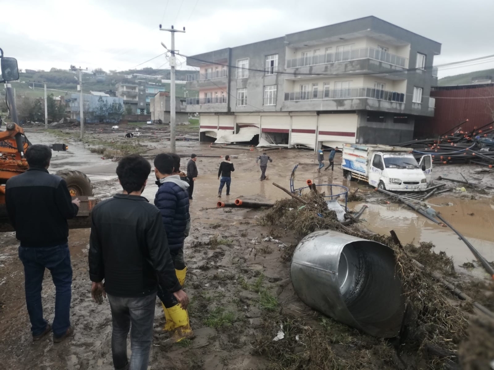 Diyarbakır’ı sağanak vurdu, onlarca büyükbaş hayvan telef oldu
