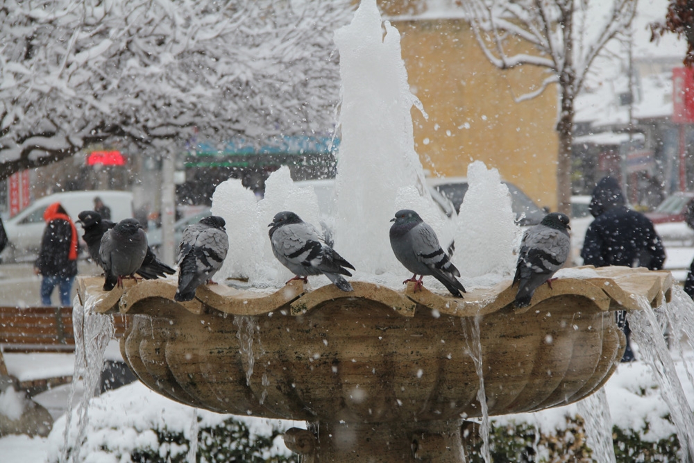 Doğu’da soğuk hava: Göle eksi 40
