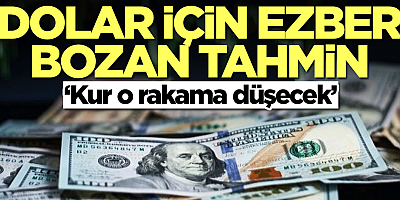 Dolar için ezber bozan tahmin: Kur o rakamlara düşecek