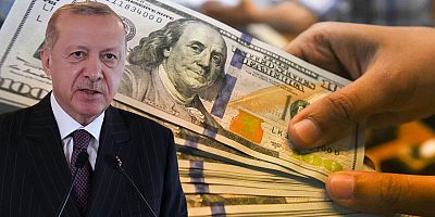 Hazine Bakanlığı'na yakın kaynak Reuters'a konuştu Dolar/TL kuru hedefi