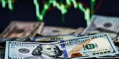 Döviz hesapları eridi! Şirketler yeni hesaba hücum etti!