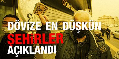 Dövizi en çok seven iller açıklandı: Bakın başı neresi çekiyor?