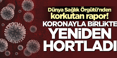 DSÖ'den korkutan rapor: Koronayla birlikte yeniden hortladı