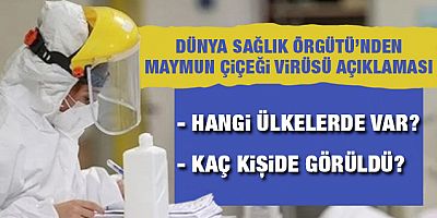 DSÖ'den maymun çiçeği virüsü açıklaması Hangi ülkede kaç vaka görüldü