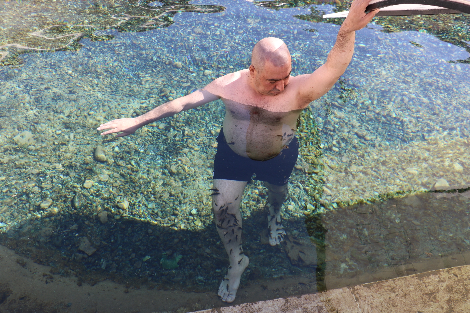 Dünyada benzerleri yok, doktor balıklar şifa saçıyor