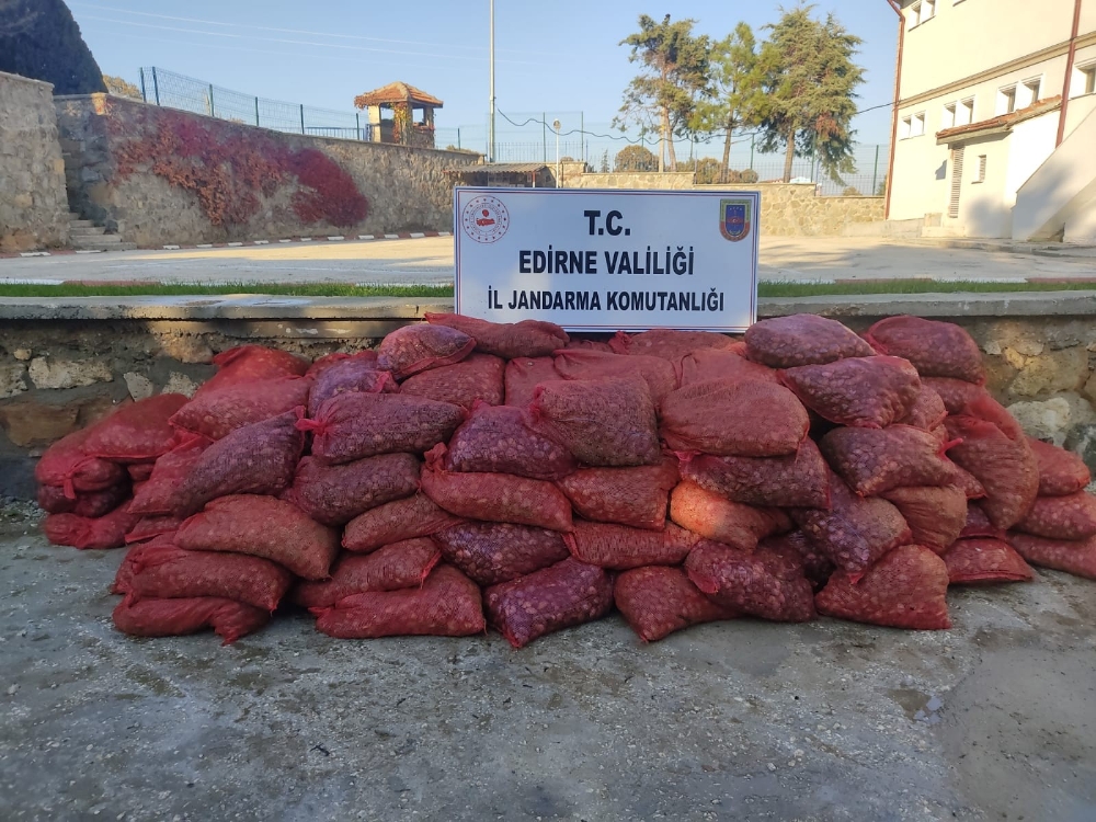 Edirne’de 600 bin TL’lik 3 ton kum midyesi ele geçirildi