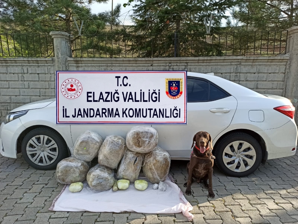 Elazığ’da 62 kilo toz esrar ele geçirildi