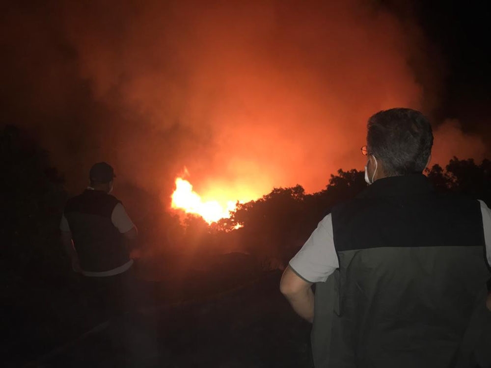 Elazığ’da orman yangınına müdahale sürüyor