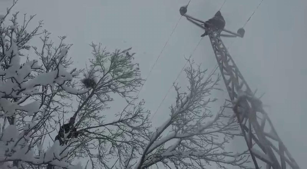 Elektrik direğinde ölümle dans
