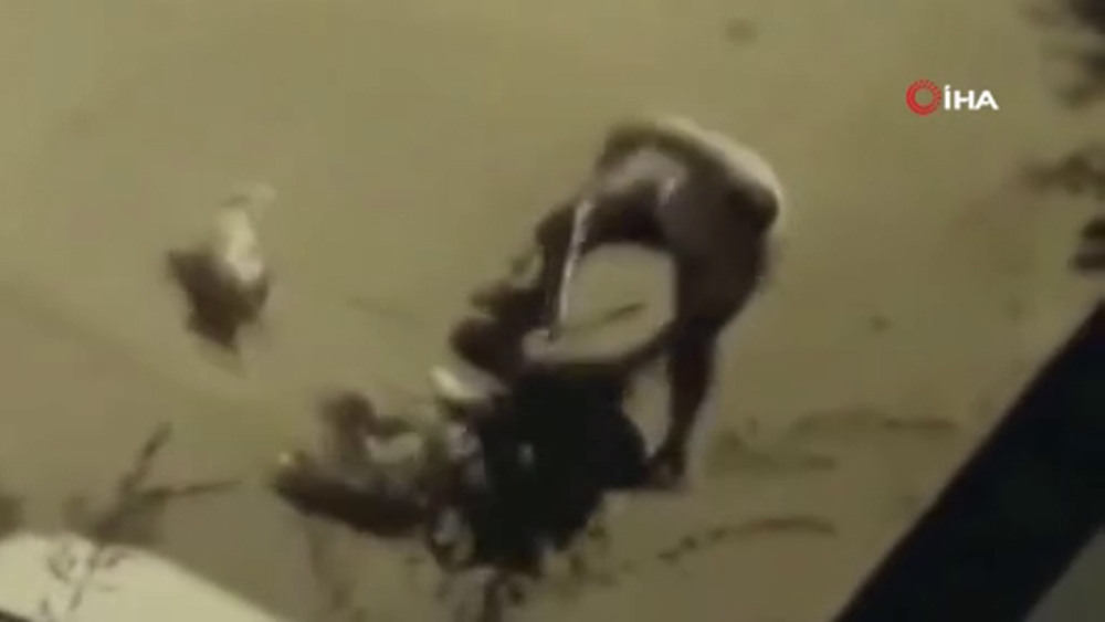 Elindeki boruyla köpeği acımasızca dövdü