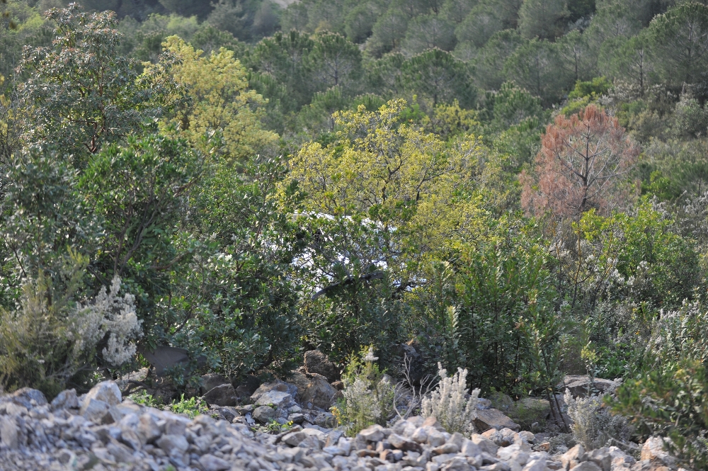 Ellerini dezenfekte ederken 30 metrelik uçurumdan yuvarlandı