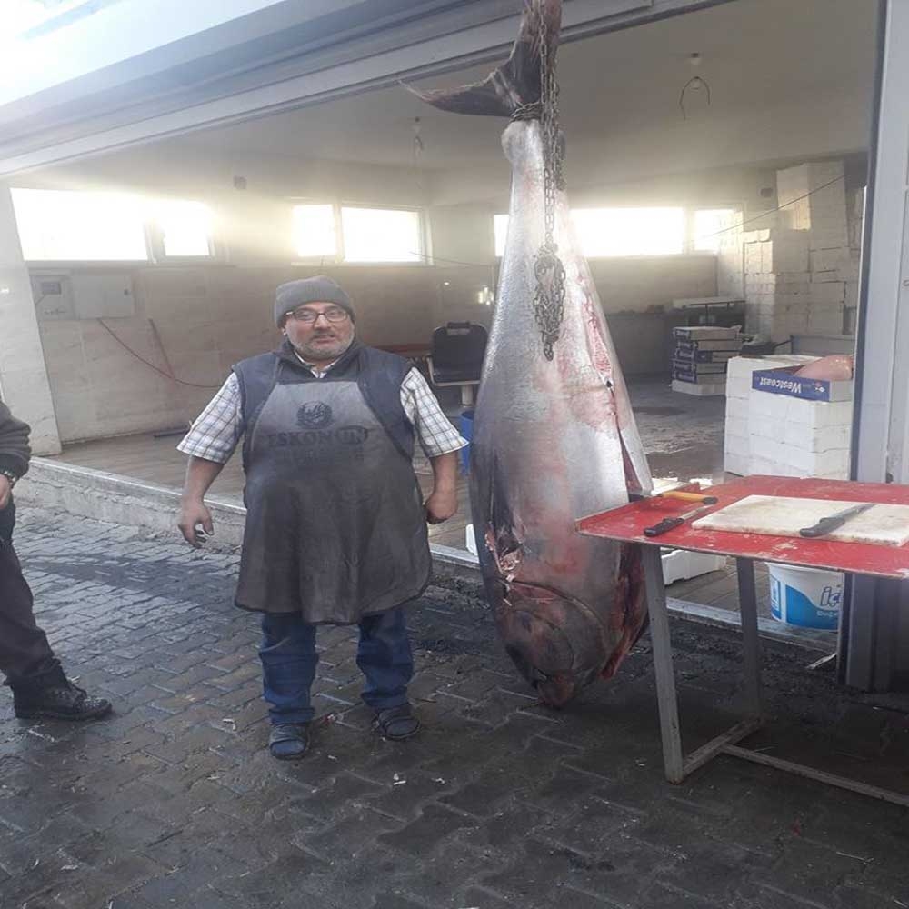 Emette Dev Orkinos Görenleri Şaşırttı