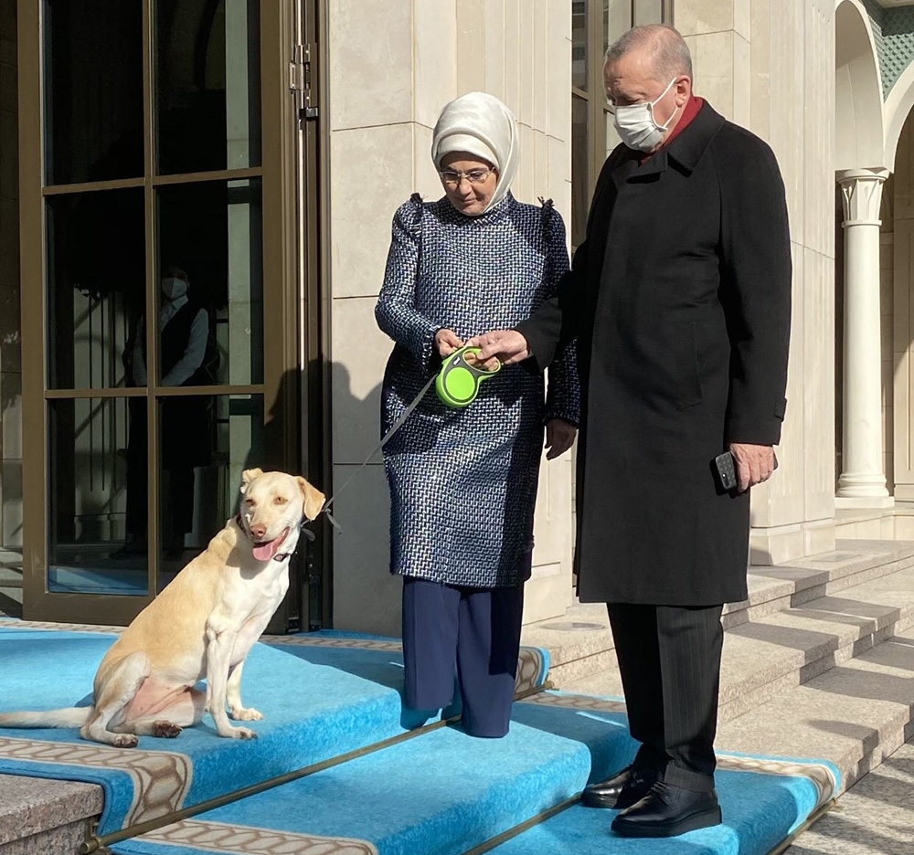 Emine Erdoğan, Cumhurbaşkanı Erdoğan’ı “Leblebi” ile birlikte uğurladı
