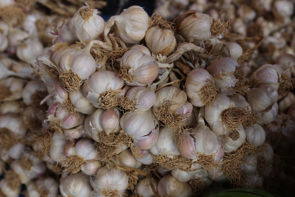 Enflasyon şampiyonu sarımsak oldu