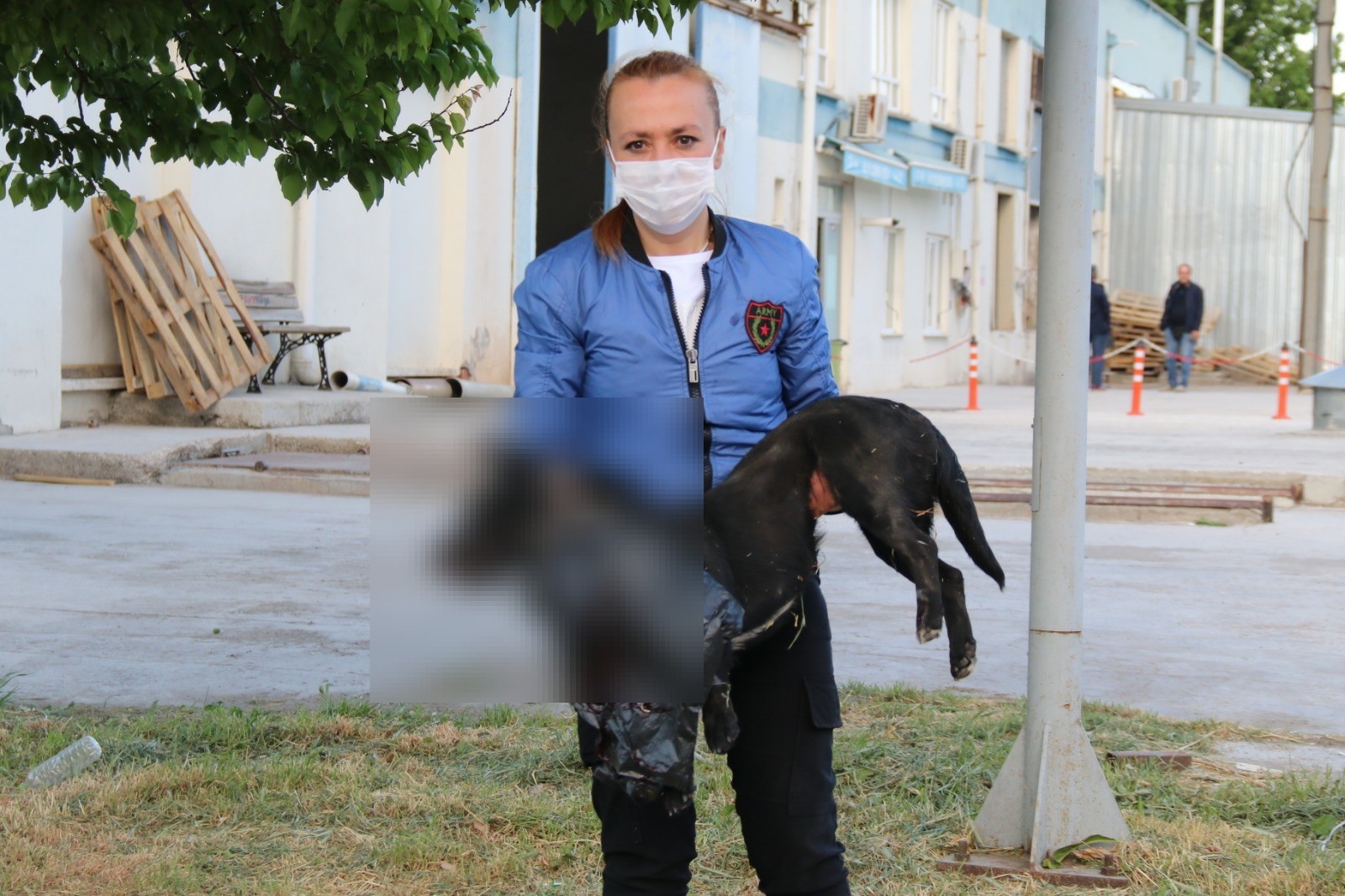 Engelli köpeği ezdi, hiçbir şey olmamış gibi yola devam etti