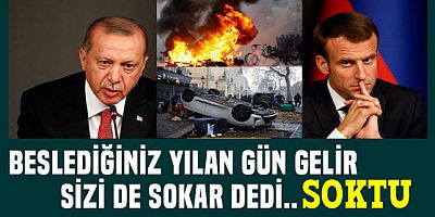 Erdoğan Avrupa'ya beslediğiniz yılan bir gün sizi de sokar dedi soktu