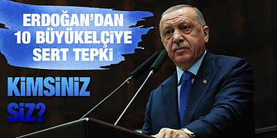 Erdoğan'dan 10 büyükelçiye 'Osman Kavala' tepkisi: Siz kimsiniz