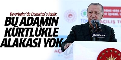 Erdoğan'dan Diyarbakır'da Demirtaş'a tepki: Bu adamın Kürtlükle alakası yok