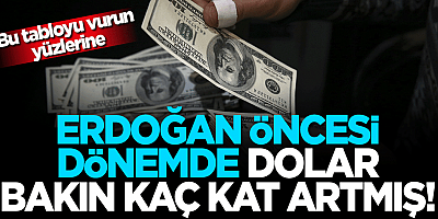 Erdoğan döneminde dolar 19 yılda 6.5 kat önceki 20 yılda 11.882 kat arttı!
