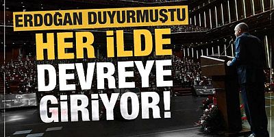 Erdoğan 'Her ilde devreye girecek' demişti İşte yeni düzenlemenin detayları