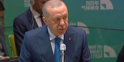 Erdoğan: Yeşil finans stratejisini uygulama çabalarımız sürüyor