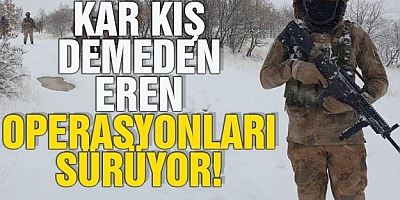 ”Eren-2 Lice