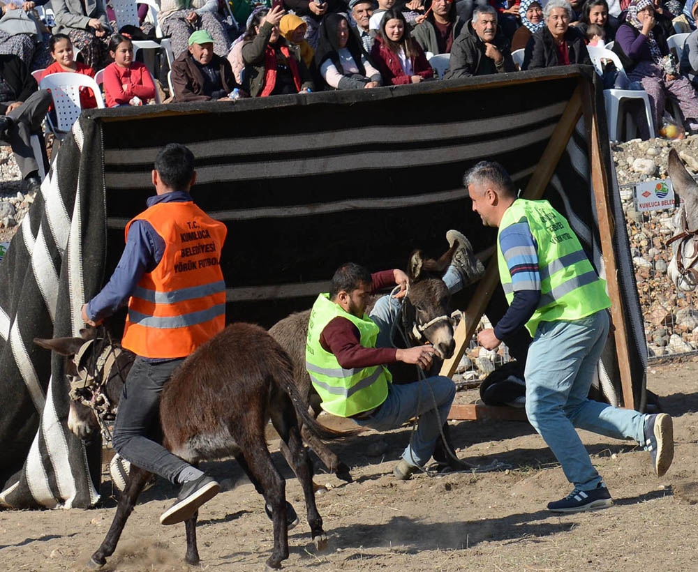 Eşekler Üzerinde İki Takımın Kıran Kırana Futbol Maçı