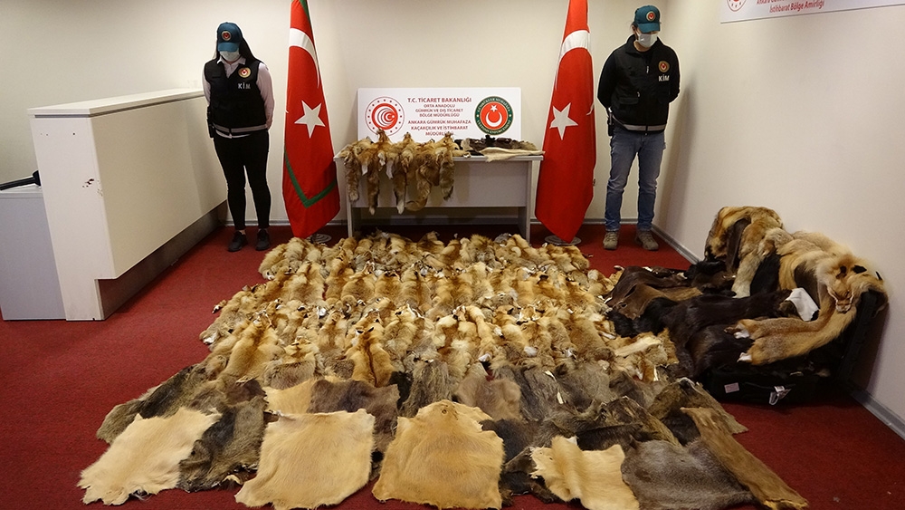 Esenboğa Havalimanı’nda düzenlenen 2 farklı operasyonla kaçakçılara darbe: 19 gözaltı